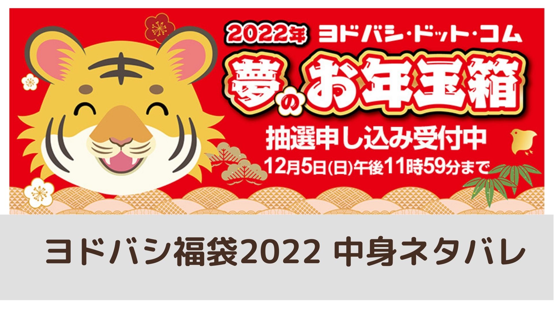 ヨドバシ福袋23年の中身ネタバレ 22年 夢のお年玉箱